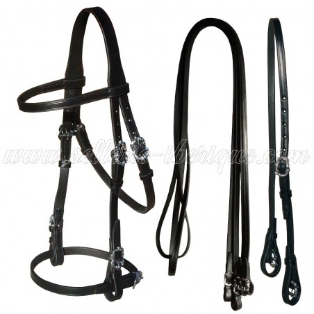 Bride Cheval Style Espagnol/portugais – Modèle Sans Marque, Neuve Avec Légers Défauts