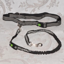 Belt + nylon dog leash for...