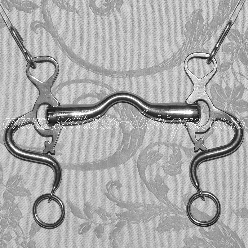 Mors cheval équitation Grenouille droit inox