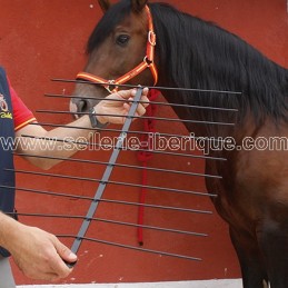 Metal template for horse back