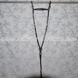 Collier de chasse portugais...