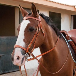 Weymouth bridle portuguese...