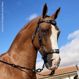 Snaffle bridle portuguese...