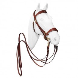 Weymouth bridle portuguese...