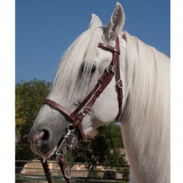 Snaffle bridle portuguese...