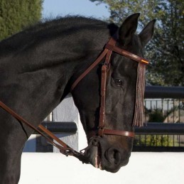 Snaffle bridle vaquera with...