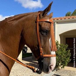 Snaffle bridle vaquera...