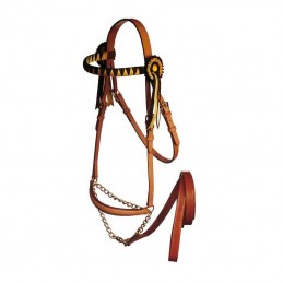 Show halter spanish Marjoman