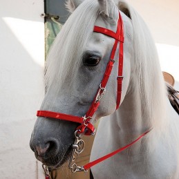 Bridle-halter biothane...