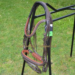 Classic snaffle bridle...