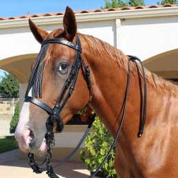 Snaffle bridle vaquera with...