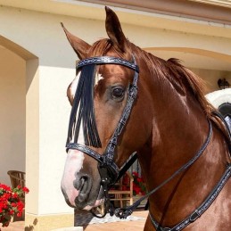 Snaffle bridle vaquera...