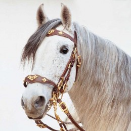 Weymouth bridle portuguese...