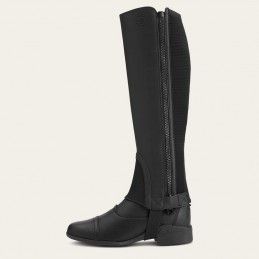 Half-chaps Scout Ariat