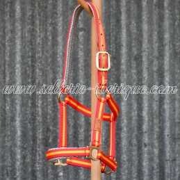 Licol nylon drapeau...