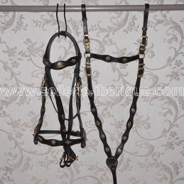 Set snaffle bridle +...