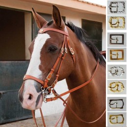 Weymouth bridle portuguese...