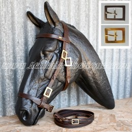 Bridon portugais Marjoman -...