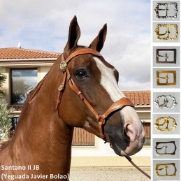 Show halter portuguese...