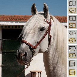 Show halter with browband...