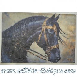 Sets de table en tissu (lot...