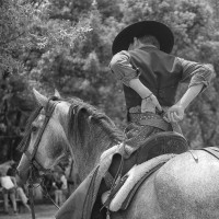 SALES for the RIDER