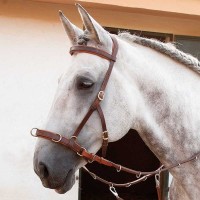 La Garrocha sellerie ibérique en ligne: équipement du cheval