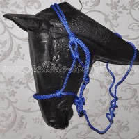 bridles & halters