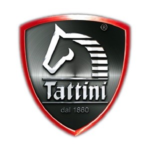 Tattini