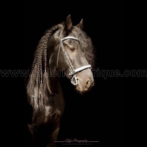 Sellerie La Garrocha, online iberian saddlery :  our items on your horses 2